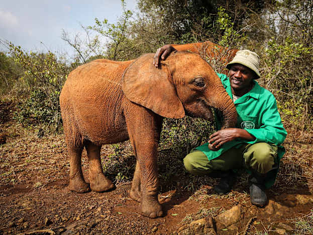 dswt-9.jpg